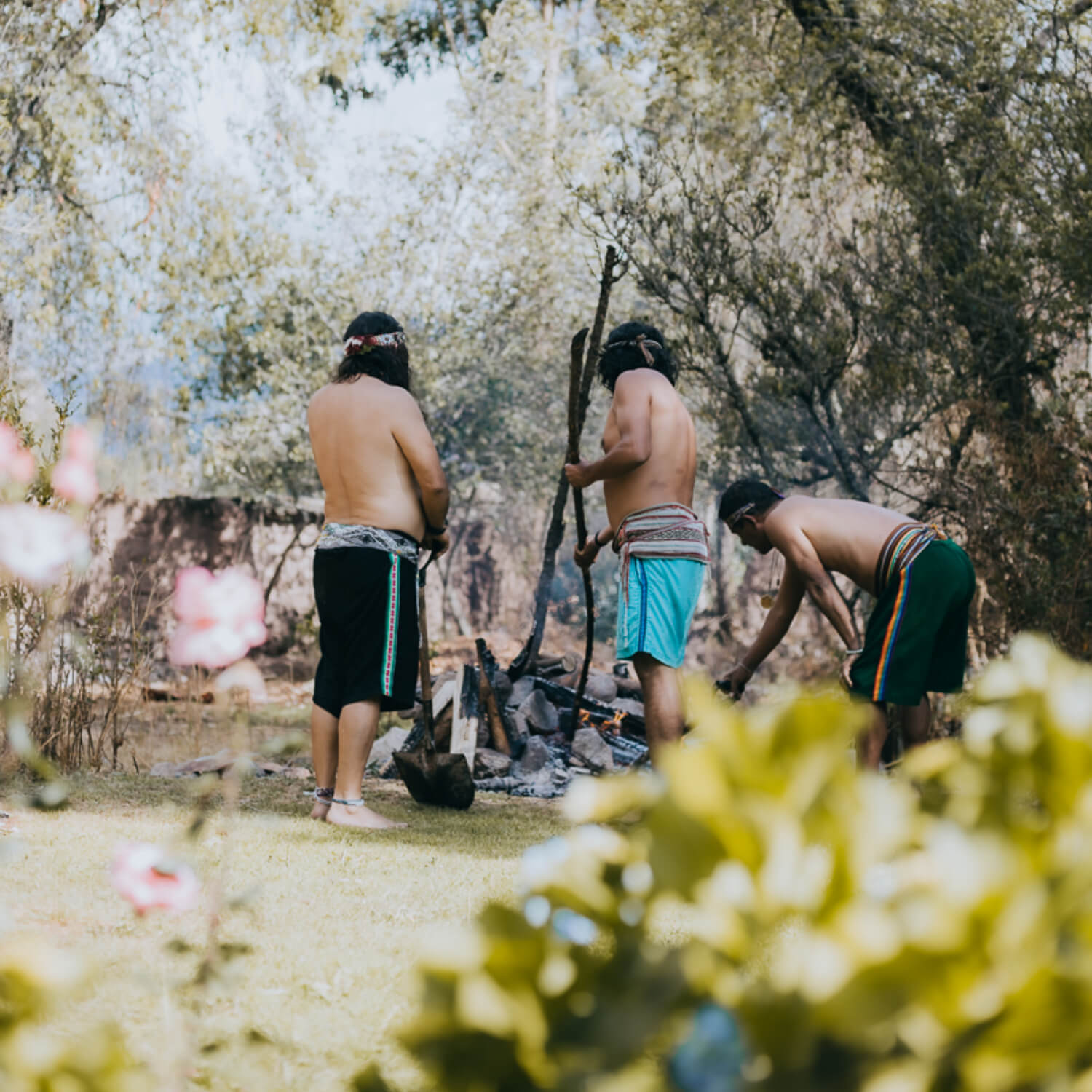 equipo-de-trabajo-carrusel-2-6