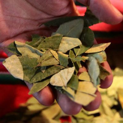 practicas-integrativas-hoja-de-coca-slider-2